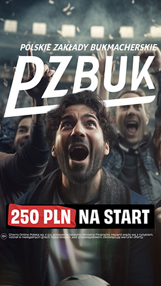 PZBUK najlepsza oferta na rynku